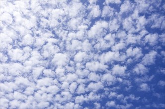 Background from a cloud formation of fleecy clouds in the summer sky