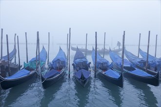 Moored gondolas at the Bacino di San Marco in the fog