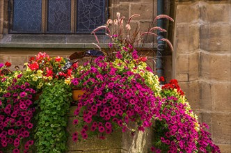 Beautiful and colourful urban decoration with flowers and plants in flower boxes in the outdoor area of the collegiate church of Tuebingen
