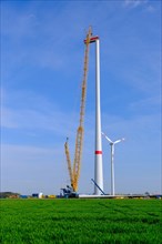 Wind turbine for power generation being erected with a large crane
