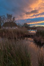 Thatched hut Gardian's hut in the marshes at sunset. Saintes Maries de la Mer