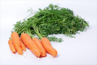 Bunch of fresh carrots isolated on a white background