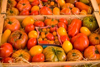 Tomatoes at the market of L'Isle-sur-la-Sorgue