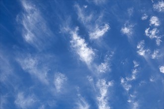 Feathery clouds in a blue sky