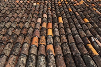 Historical roof tiles