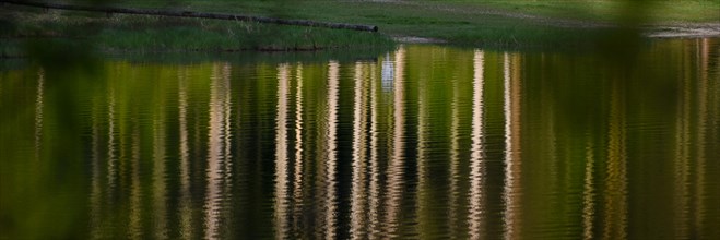 Reflections of trees on the Weitsee lake in Chiemgau convey a feeling of summer and nature