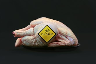 Concept for chlorinated chicken with raw whole chicken with yellow warning label with skull and word 'Chlorine' on it on black background
