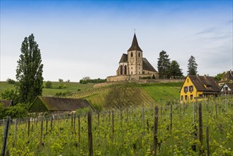 Church in the vineyards
