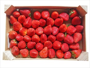 Strawberries fruits in a crate
