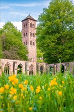 Flower meadow in front of the owl tower of the historic monastery