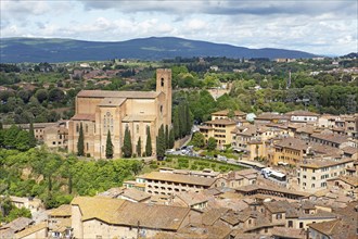 Basilica di San Domenico and Roofs of Siena