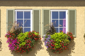 Colourful floral decorations in flower boxes on two windows