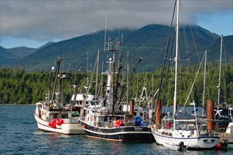Small fishing and recreational boats in harbour