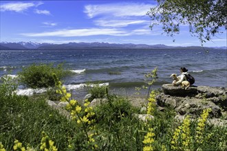 A young woman and a greyhound dog rest sitting on the rocks by the lake shore