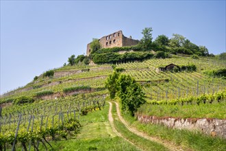 The Schlossberg