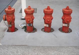 Many fire hydrants