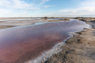 Salt farm in the village of Salin de Giraud near the mouth of the Grand Rhone. Regional nature park Park