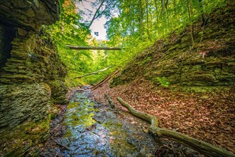 Small river flowing in mixed forest between limestone rocks in Rautal forest area in summer sunshine