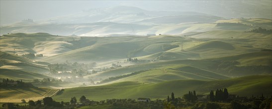 Tuscan landscape near Orciatico in the morning