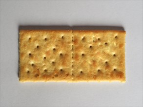 Salted cracker biscuit