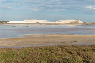 Salt farm in the village of Salin de Giraud near the mouth of the Grand Rhone. Regional nature park Park