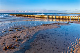 Groynes on the beach of the Baltic Sea in the evening light