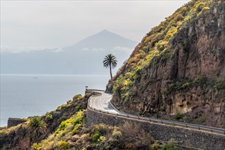 Coastal road in the village of Agulo in the north of La Gomera with a palm tree and Tenerife in the background