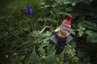 Garden gnome in garden