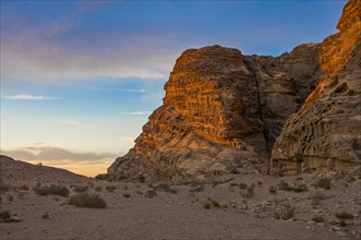 Rock vegetation near Petra in twilight