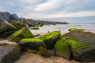 Green rocks on the Zurriola beach in the city of San Sebastian