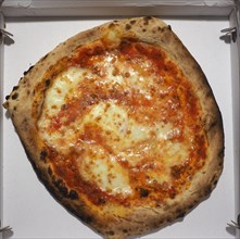 Margherita pizza baked food