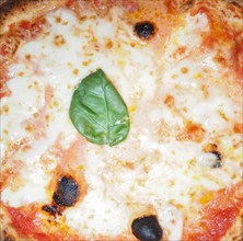 Margherita pizza food