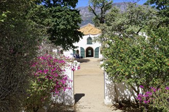 Groot Constantia Wine Estate historic building in Dutch architectural style