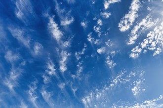 Feather clouds and cirrocumulus in blue sky