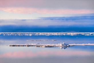 Ice floes on a calm arctic sea in beautiful light at the golden hour