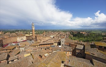 Torre del Mangia and the roofs of Siena