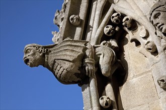 Gargoyle on the tower of St. Mary's