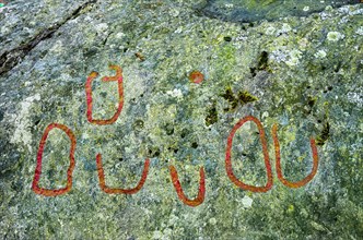 Detail of one of the famous Bronze Age rock carvings