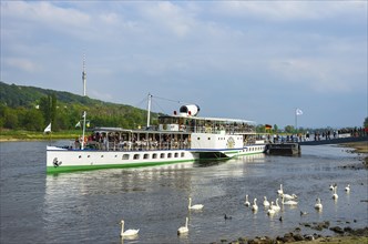 The historic paddle steamer PD LEIPZIG moored at the pier in the Blasewitz district