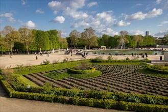 View over the Tuileries Garden Jardin des Tuileries
