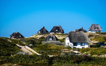Holiday homes in the dunes of Hoernum on Sylt