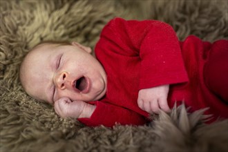 Subject: Two-week-old infant