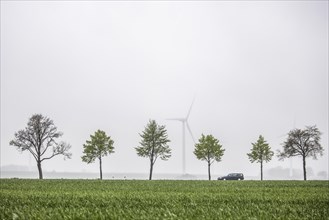 A car is silhouetted against wind turbines on a country road in Vierkirchen