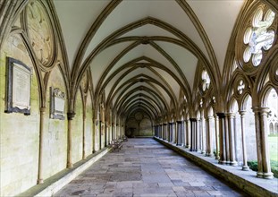Arched vaulted ceiling roof of cloisters at Salisbury cathedral