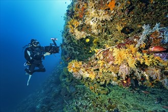 Cameraman filming on coral reef with professional underwater video camera type RED Dragon X 6K Digital Cinema Camera in Nauticam underwater housing