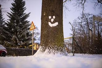 Snow in the shape of a smileys sticks to a tree in Berlin Hermsdorf. Berlin