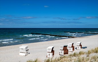 Beach chairs on the sandy beach of Ahrenshoop