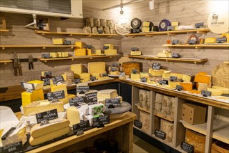 Variety of cheeses on display in cheese room of farm shop