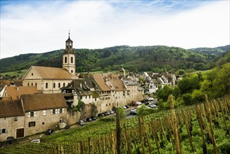Medieval village in the vineyards