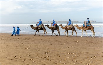 Tourists riding camels on beach dressed in blue Bedouin robes